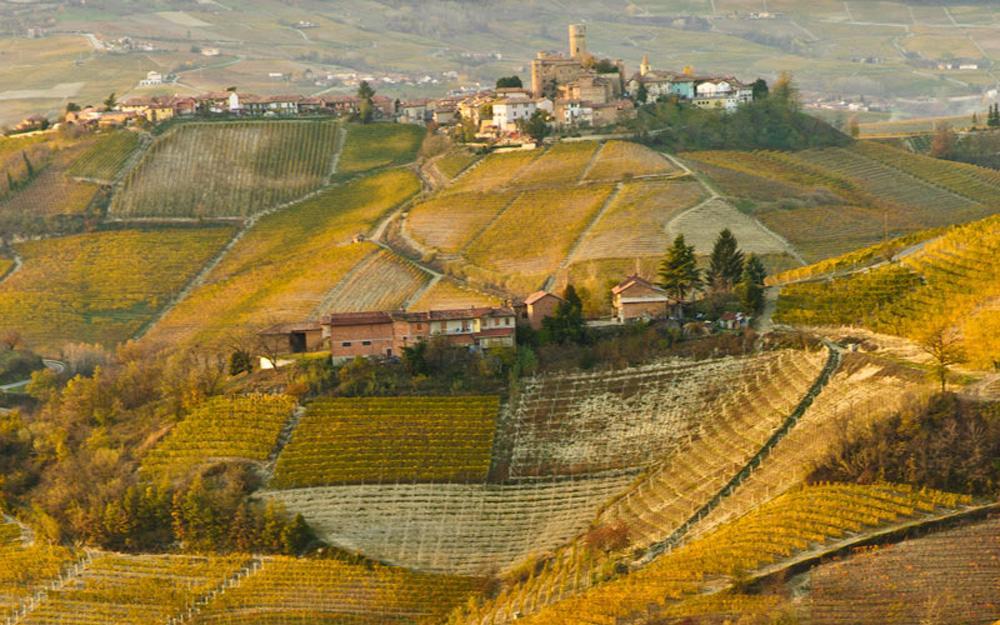 Hotel Langhe & Monferrato Костильоле-д'Астри Экстерьер фото